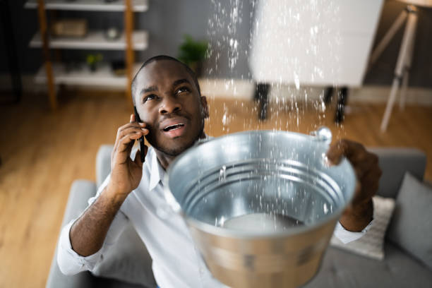 Best Flood damage cleanup  in Bohemia, NY