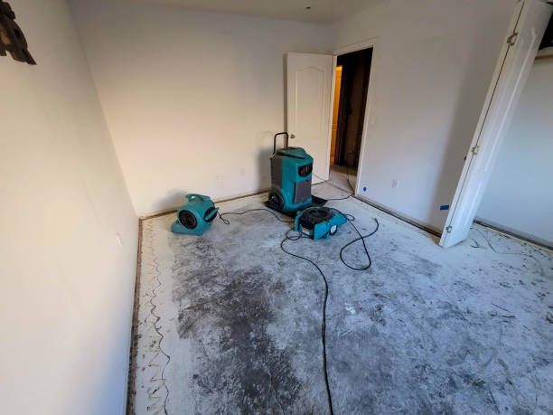 Best Residential water damage restoration  in Bohemia, NY