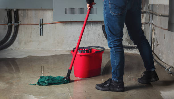 Water damage restoration mold remediation in Bohemia, NY