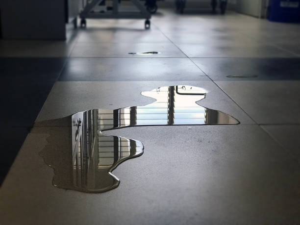 Best Water damage restoration services  in Bohemia, NY