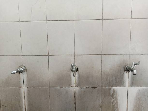 Best Water damage restoration insurance claims  in Bohemia, NY
