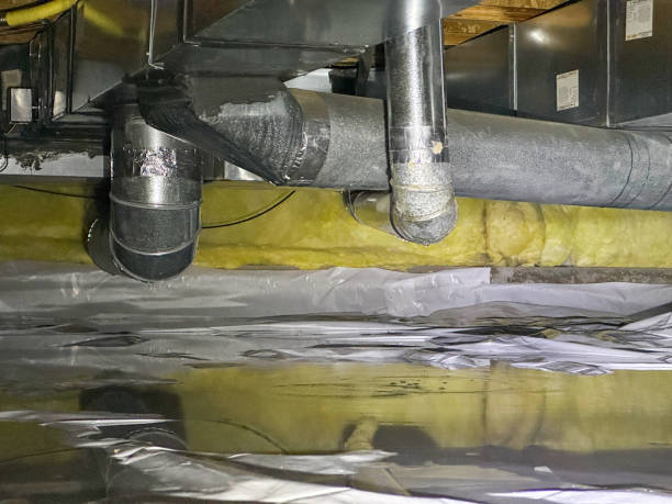 Best Water damage cleanup near me  in Bohemia, NY