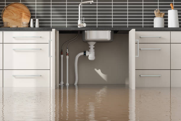 Best Local water damage restoration  in Bohemia, NY
