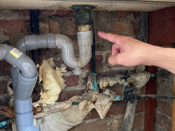 Best Water damage restoration mold remediation  in Bohemia, NY