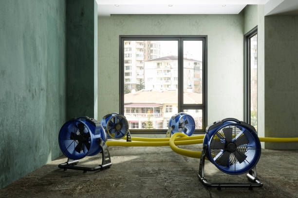 Best Ceiling water damage repair  in Bohemia, NY