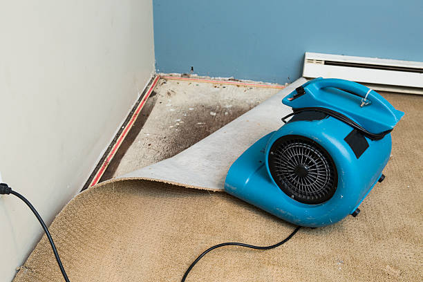 Local water damage restoration in Bohemia, NY